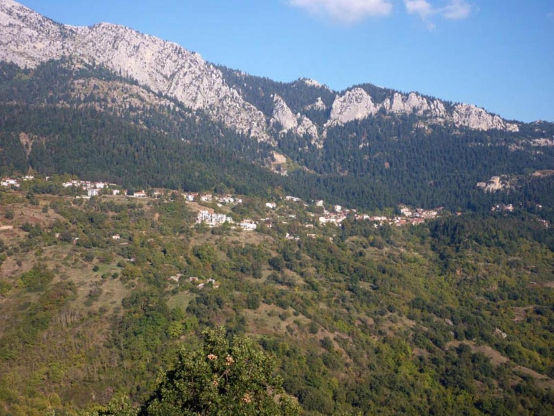 Archontiko Christodoulou Aparthotel Vronteron  Exterior photo