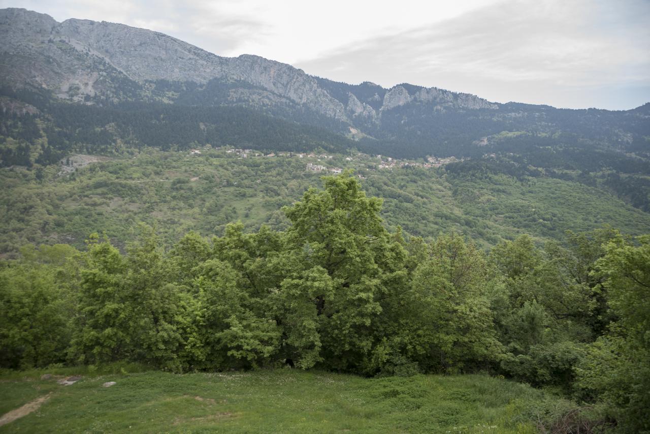 Archontiko Christodoulou Aparthotel Vronteron  Exterior photo